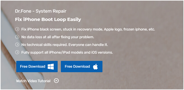 Quick fix iPhone Boot Loop